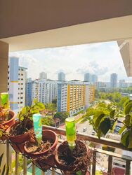 Blk 320 Ang Mo Kio Avenue 1 (Ang Mo Kio), HDB 3 Rooms #592150791